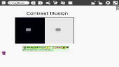 View "Contrast Illusion" Etoys Project